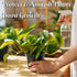 SimpleNature 3% 1 Commercial, Food Grade Hydrogen Peroxide Solution - Gallon - Natural Multipurpose Cleaner - Made