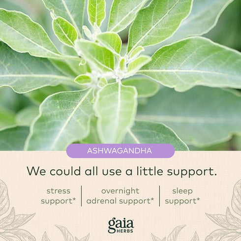 Gaia Herbs Nightly Restore Adrenal Health - Herbal Supplement with Ashwagandha, 60 Vegan Liquid Phyto-Capsules