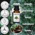 Set-Essential Essential Oils Oils- Perfect for Diffuser,Candle Making,Soap Making -Eucalyptus, Lavender,Cedarwood