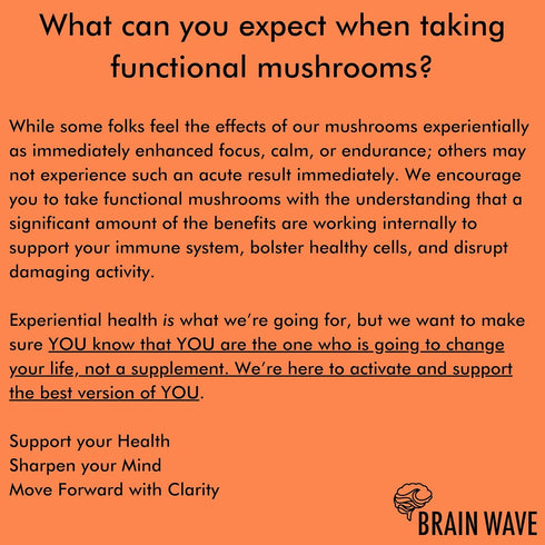 BRAIN WAVE Superfood Mushroom Gummies - Daily Multi Mushroom Supplement - Lions Mane, Reishi, Cordyceps, Turkey Tail,