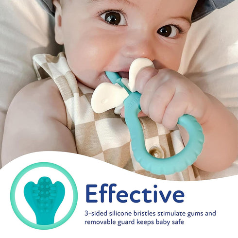 Dr. Talbot's 2-Piece Infant Toothbrush Training Set, Easy Grip Handle for 6+ Months