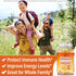 NEW AGE Vitamin C Gummies, Orange Flavor - Supports Healthy Immune System - Vegetarian, Gluten-Free (180 Gummies)