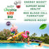 Lifeable Vitamin B12 for Kids, 1000 mcg Gummies, Gluten Free, Vegan B12 Vitamins for Energy, Mood, Nervous System