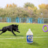 URINE-B-GONE-OD | Turf, Patio & Outdoor Urine Enzyme Odor Eliminator - 32 oz with Hose Connect Sprayer
