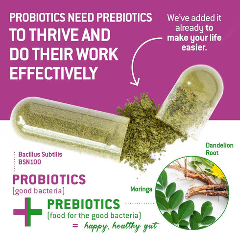 Bacillus Subtilis Probiotic — High Potency Strain with Prebiotic for Daily Gut Health, 90 Vegetarian Capsules, 6