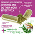 Bacillus Subtilis Probiotic — High Potency Strain with Prebiotic for Daily Gut Health, 90 Vegetarian Capsules, 6
