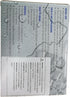 Foot Ankle Ice Gel Pack for Hot Cold Therapy - Reusable Pad and Adjustable Heel Ice Wrap for Plantar Fasciitis, Muscle