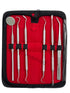 Premium Dental Tools, Professional Hygiene Cleaning Kit, Stainless Tooth Scraper, Plaque Remover, Set of 6 with CASE