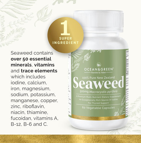 Seaweed Kelp Supplements from New Zealand | 100% Pure Organic & Natural - Multi-Nutrient & Thyroid Support - 60
