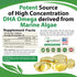 Algal Oil - Vegan DHA Omega 3 Fish Oil Supplements - 60 Mini Fish Softgels for Heart & Immune Support