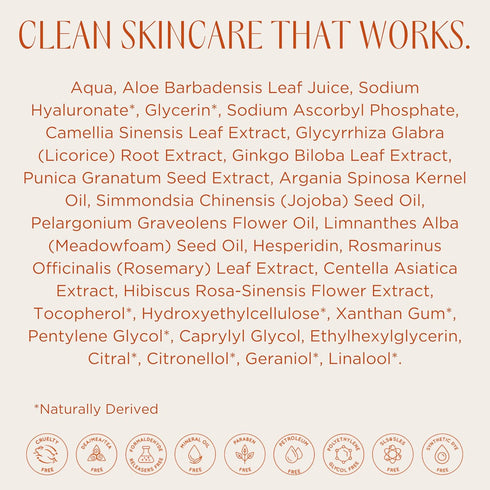 InstaNatural Hyaluronic Acid Serum 2 Fl Oz for Face, Hydrates, Brightens, Reduces Fine Lines with Vitamin C