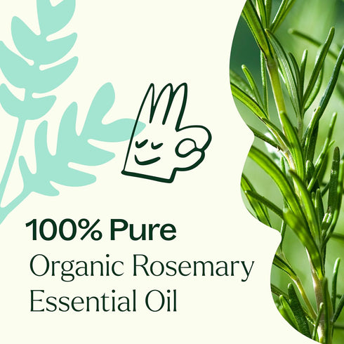 Plant Therapy Organic Rosemary Essential Oil 100% Pure, 30 mL (1 oz), USDA Certified Organic