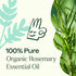 Plant Therapy Organic Rosemary Essential Oil 100% Pure, 30 mL (1 oz), USDA Certified Organic