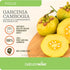 Naturewise Garcinia Cambogia - 60% HCA Extract, Natural Support for Weight Goals, Energy Levels - Vegan, Non-GMO,
