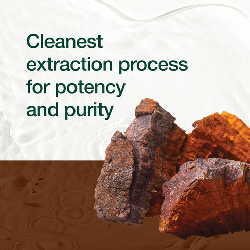 Organic Chaga Mushrooms - Strongest DNA Verified 1500mg Per Serving, Non-GMO, Gluten & Soy Free, Vegan Friendly