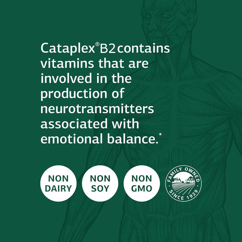 Standard Process Cataplex B2, Whole Food Nervous System Supplements for Metabolism, Brain & Liver Support - 90 Tablets