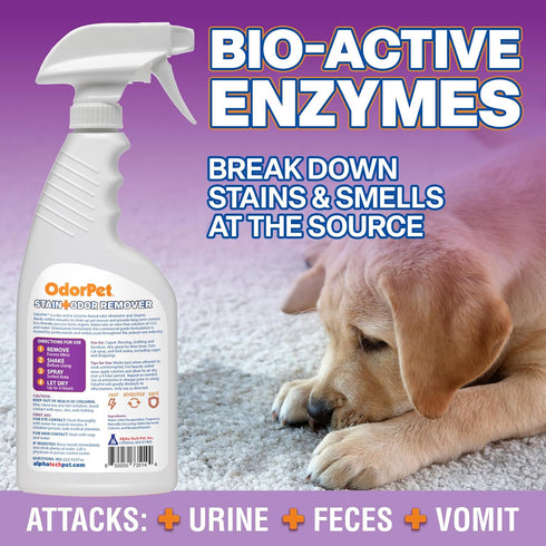 Stain and Odor Remover, 16 oz Ready to Use Spray, Lavender Scented Pet Odor Eliminator for Carpet and Furniture