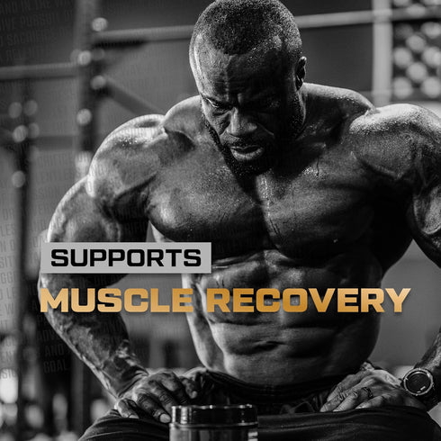 HOSSTILE Glutamine Powder for Men & Women, Fermented L Glutamine for Muscle Recovery, Unflavored, 60 Servings