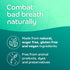 Oracoat FreshMelts Fresh Breath Stick-on Melts, 60 Count Non-Acidic & Sugar-Free Breath Freshener, Arctic Mint