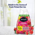 Renuzit Adjustable Air Freshener Gel, Forever Raspberry, 7 Ounces (Count of 6)