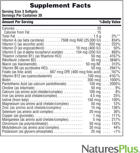 Natures Plus Regeneration Multivitamin - 90 Softgels with Potent Botanical Extracts, Minerals & Antioxidants -