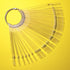 Nail Swatch Sticks with Ring - 100pcs Transparent Nail Color Display and Nail Art Supplies