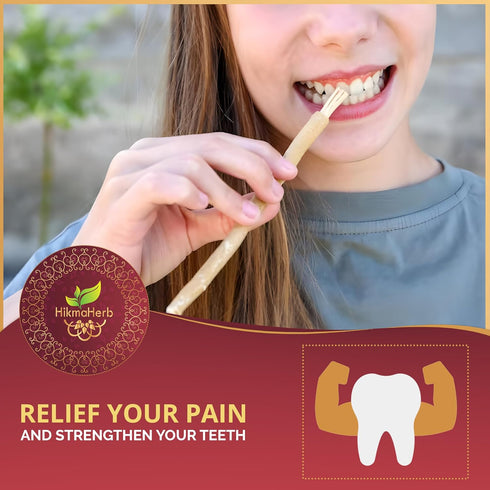 Pack of 3 Miswak Sticks with Holder, Natural Chewing Sticks for Teeth Whitening and Oral Health