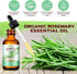 Pure Rosemary Essential Oil 2.02 Fl Oz - Undiluted for Hair Growth, Skin Care & Aromatherapy