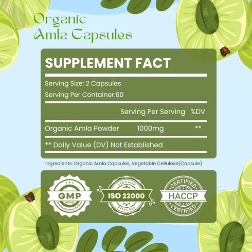 Amla Capsules (Phyllanthus Emblica) – 120 Capsules of Amalaki Amla | Natural Antioxidants Superfood Herbal Supplement