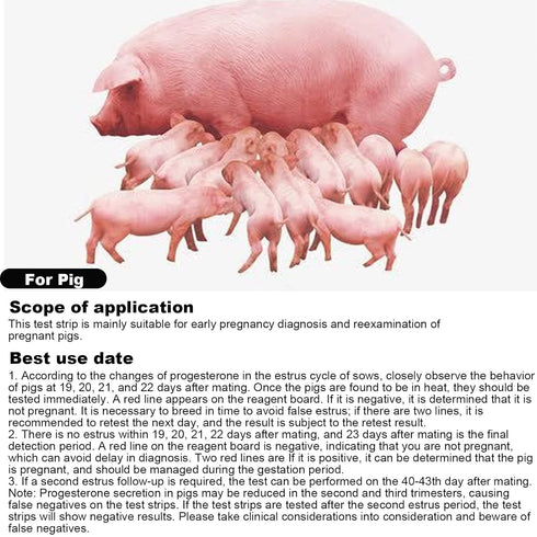 Pack of 10 Pig Pregnancy Test Strips for Early Detection Testing Tool Veterinary Equipment