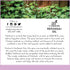 artnaturals 100% Pure Patchouli Essential Oil, 0.5 Fl Oz / 15ml, Therapeutic Grade Fragrance Oil