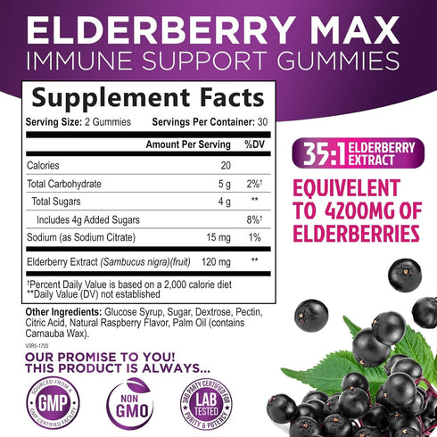 Sambucus Elderberry Immune Gummies - Daily Support for Kids & Adults - 60 Gummies, 35:1 Extract Equivalent to 4200mg