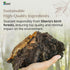 Sayan Siberian Pure Raw Coarse Chaga Powder, 4 Oz / 113g – Premium Wild Forest Harvested Super Antioxidant Tea