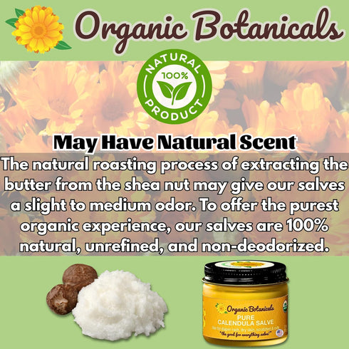 Organic Botanicals 2 Oz Pure Organic Calendula Salve Healing Balm - Calendula Cream Healing Hand Salve Ointment from