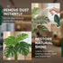 Silk Plant Cleaner Spray No Wipe, Faux Plant Cleaner Cleaner, Removes Dust & Restores Fresh Natural Look, Easy Spray