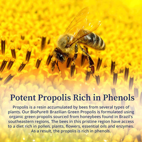 BioPure Brazilian Green Propolis Pure Propolis Extract – natural freeze-dried extract with Atrepillin-C and phenols for