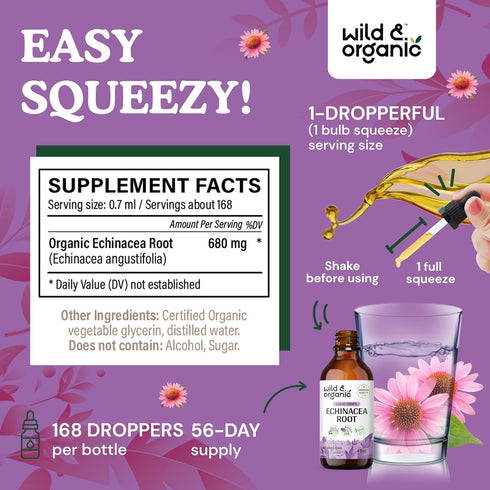 Echinacea Drops - Alcohol-Free Immune Support Supplement with Organic Echinacea Root - 4 oz
