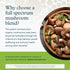 Immune Immune 60 Youtheory Mushroom Complex - Vegan Support Supplement* - Organic Mushroom Blend with Chaga, Cordyceps