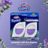 Clorox Fraganzia Small Room Air Freshener, Lavender with Eucalyptus, 2 Units, Peel & Place