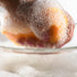 Norpro 12 Natural Sponges Pop-Up Piece New Handy For Kitchen Drawer Glove Box