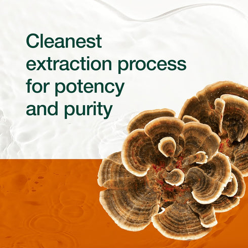 Fresh Nutrition Organic Turkey Tail Mushroom Extract Supplement, High in Beta Glucans, 90 Capsules