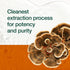 Fresh Nutrition Organic Turkey Tail Mushroom Extract Supplement, High in Beta Glucans, 90 Capsules