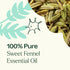 Plant Therapy Sweet Fennel Essential Oil 10 mL (1/3 oz), 100% Pure, Undiluted, Therapeutic Grade
