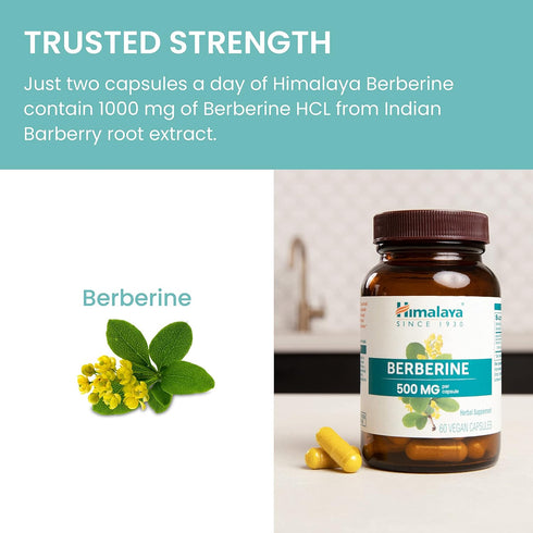 Himalaya Berberine for Metabolism & Cholesterol Support, GI & Immune Support, 1000 mg, Vegan, 60 Capsules