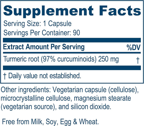 Ayush Herbs Curcumin 97%, Herbal Turmeric Supplement, 90 Capsules