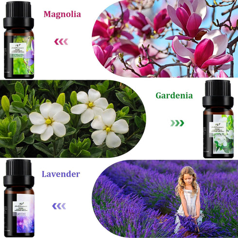 Flower Essential Oils Set, 6x10ml Aromatherapy Oil Gift Kit for Diffuser, Humidifier, Fragrance - Gardenia, Magnolia,