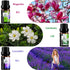 Flower Essential Oils Set, 6x10ml Aromatherapy Oil Gift Kit for Diffuser, Humidifier, Fragrance - Gardenia, Magnolia,