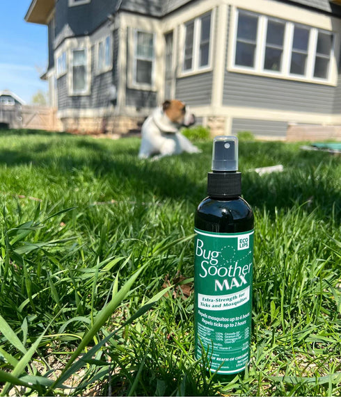 Bug Soother MAX Natural Gnat, Tick, and Mosquito Repellent, 8 fl oz DEET-Free Bug Spray Made in USA