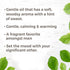Plant Therapy Amyris Essential Oil 10 mL (1/3 oz) 100% Pure, Undiluted, Therapeutic Grade