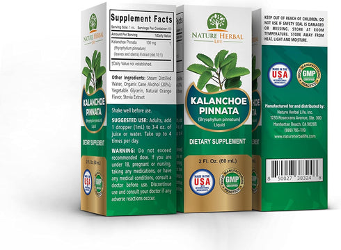 Nature Herbal Life 1 2 oz Kalanchoe Pinnata (Bryophyllum Pinnatum), Glycerite, Dried Leaf and Stem Liquid Extract.